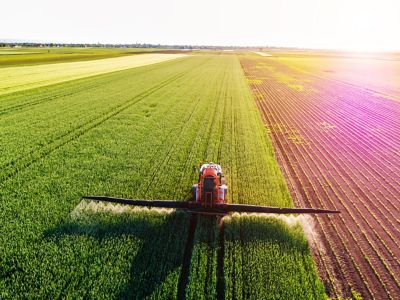 Farmer spraying green wheat field.jpeg
